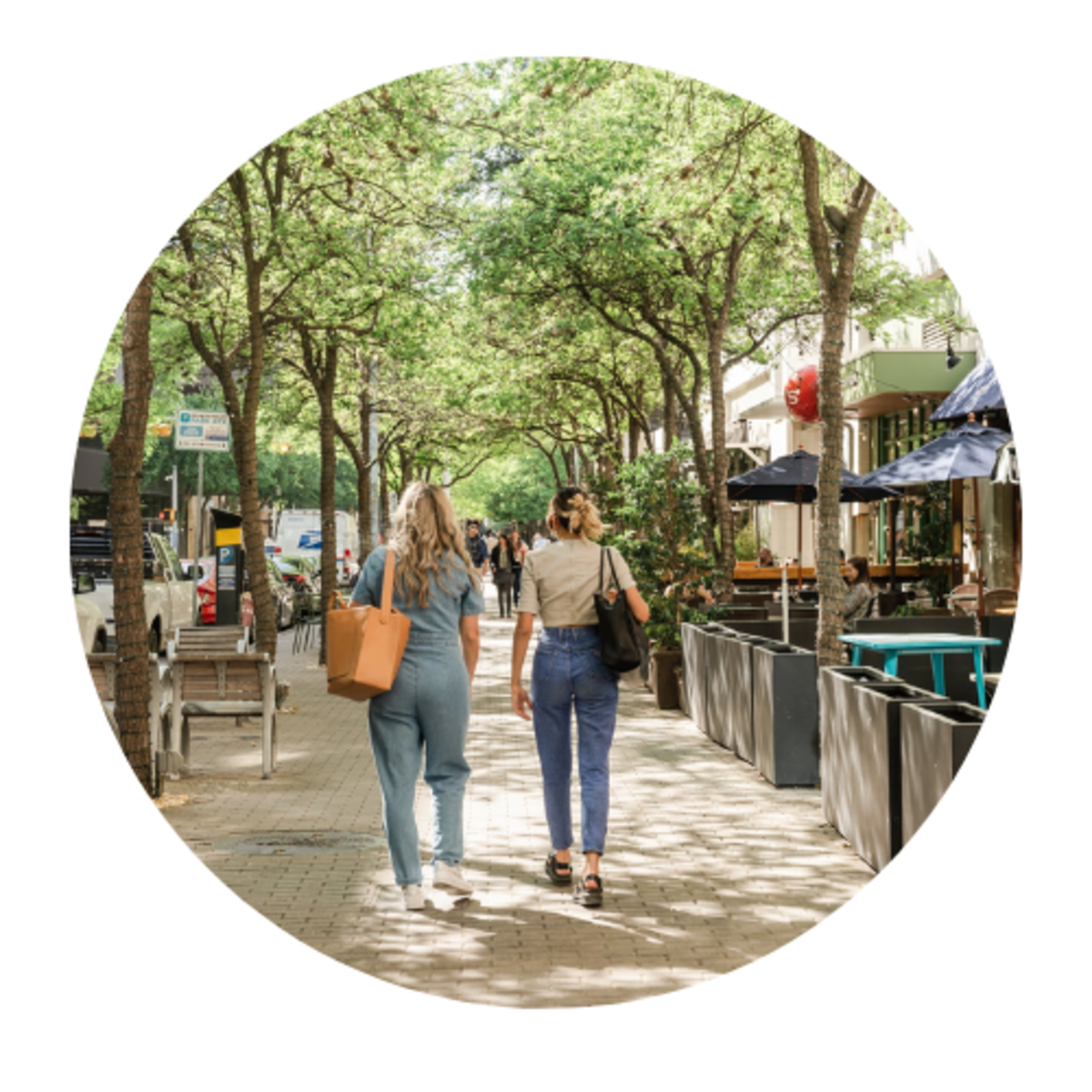 Featured image for Great Streets Plan Update